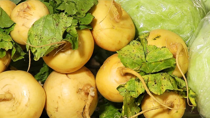 What is the difference between rutabaga and turnip and how to tell them apart