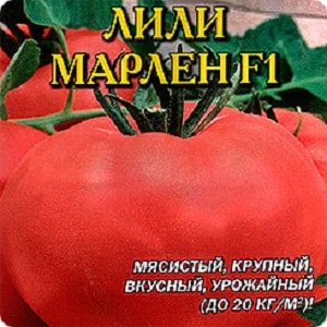 Early maturing hybrid with exceptional taste - tomato Lily Marlen f1