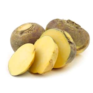 What is rutabaga, how does it grow, what is it useful for and where is it used?