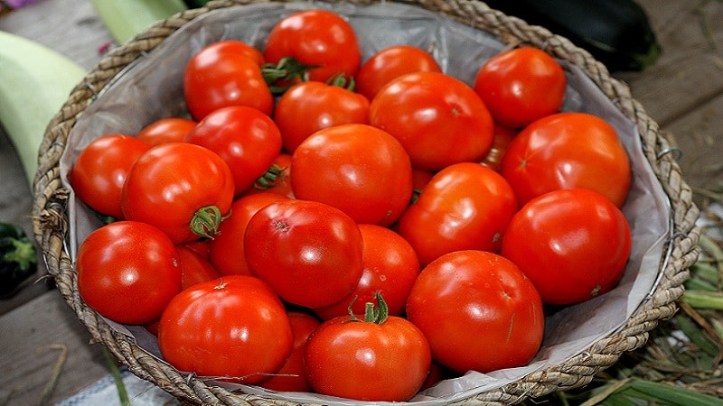 Hybrid tomato Bella Rosa and how to grow it correctly
