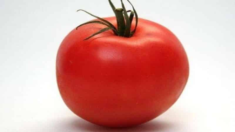 A persistent hybrid from Japanese breeders - Michel f1 tomato: we grow it ourselves without hassle