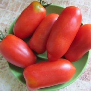 High and long-lasting yield with proper care - Khokhloma tomato and the secrets of its cultivation