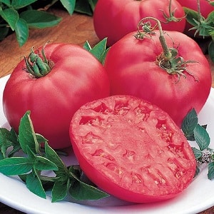 What is so good about the Beef pink brandy f1 tomato and why summer residents love it so much: an overview of the variety and the secrets of its cultivation