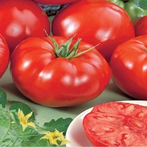 Dutch tomato Big Beef F1: what summer residents think about the Dutch hybrid and growing tips