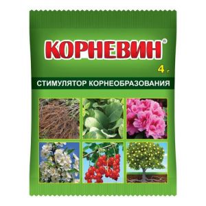 How and with what to combat diseases of pepper seedlings