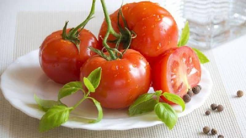 An excellent hybrid for open ground - Shady Lady f1 tomato: we grow unpretentious tomatoes without hassle