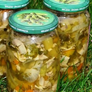 How to make the most delicious zucchini preparations for the winter without sterilization: recipes with photos