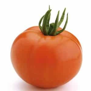 If you want to get an early harvest of juicy and sweet tomatoes, grow tomato Eijen f1 without much hassle