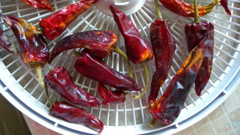 How to preserve hot peppers for the winter at home, frozen, dried or canned