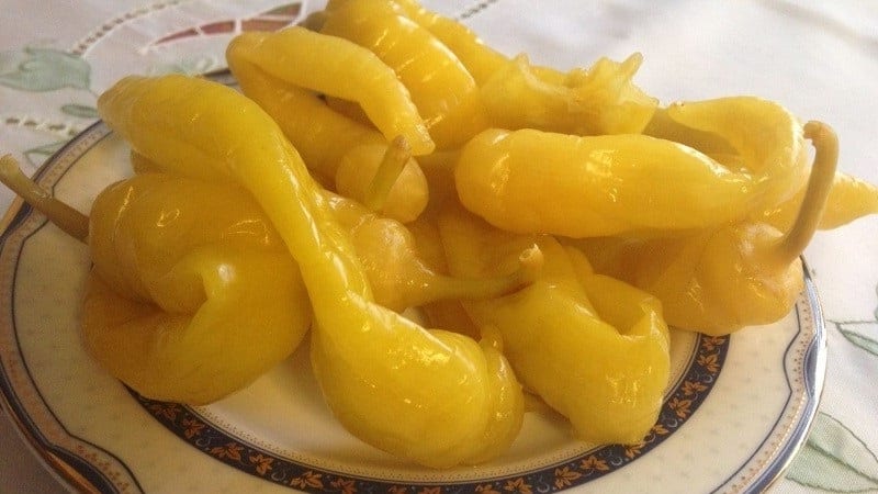 How to preserve hot peppers for the winter at home, frozen, dried or canned