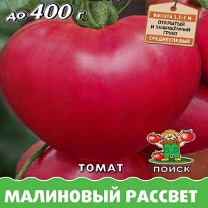 Salad variety with fleshy pulp - Raspberry Dawn tomato