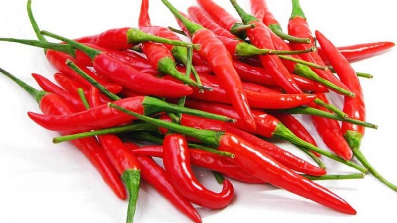 The health benefits of cayenne pepper and how to grow it correctly