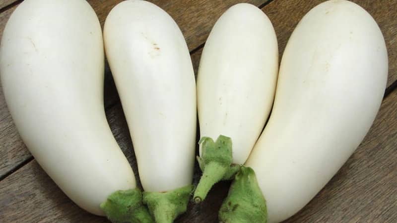 What are white eggplants and how are they different from regular ones?