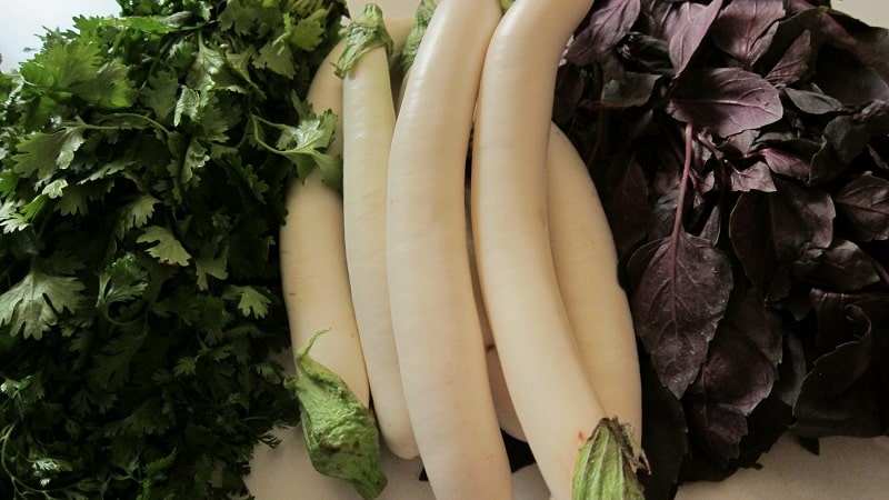 What are white eggplants and how are they different from regular ones?