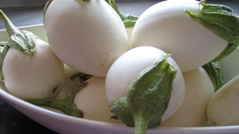 What are white eggplants and how are they different from regular ones?