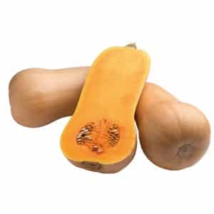 Dutch early maturing pumpkin hybrid Matilda: we grow up to 15 kg of fruit per square meter
