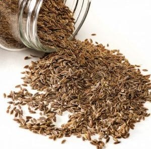 How to quickly germinate dill seeds and how to treat them to speed up the germination of greens