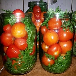 How to properly prepare salted tomatoes in jars, cold in barrels: recipes and useful tips