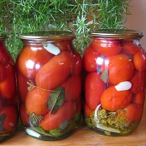 How to properly prepare salted tomatoes in jars, cold in barrels: recipes and useful tips