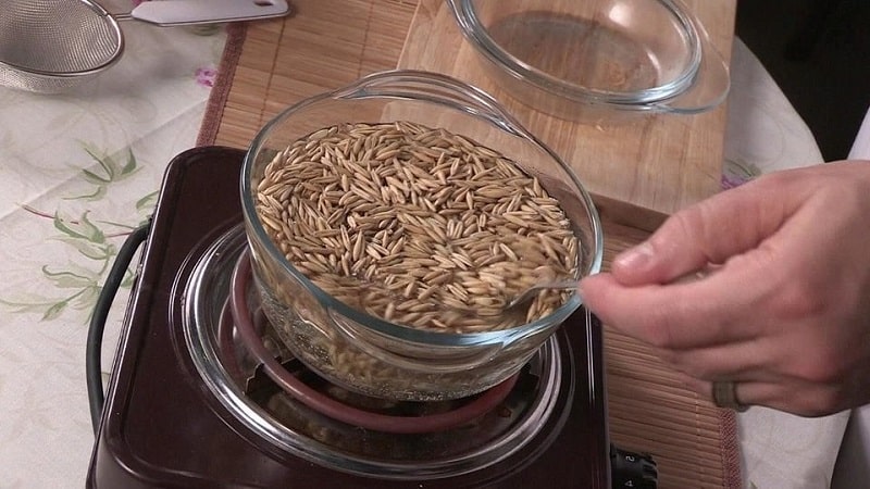How to properly use oats for a cough: the best recipes and effectiveness
