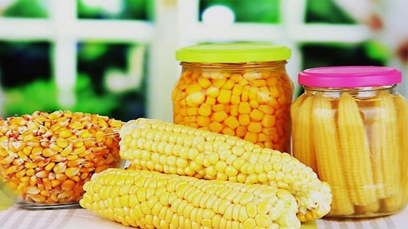 How to preserve corn on the cob for the winter at home: the best preservation recipes and the freezing method