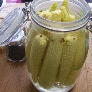 How to preserve corn on the cob for the winter at home: the best preservation recipes and the freezing method