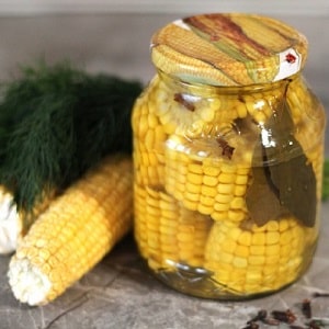 How to preserve corn on the cob for the winter at home: the best preservation recipes and the freezing method