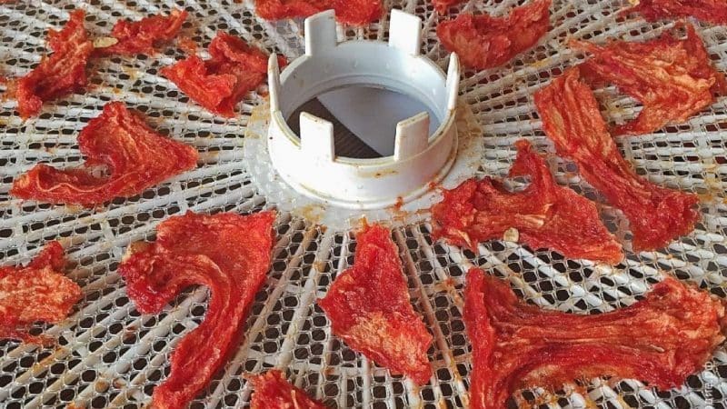 Step-by-step instructions: how to dry watermelon in an electric dryer and store the finished product