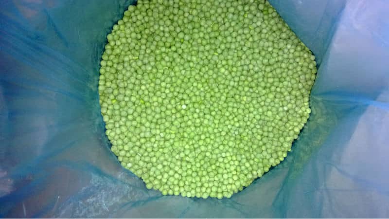 The simplest preparations: how to freeze green peas at home for the winter and what to cook from them later