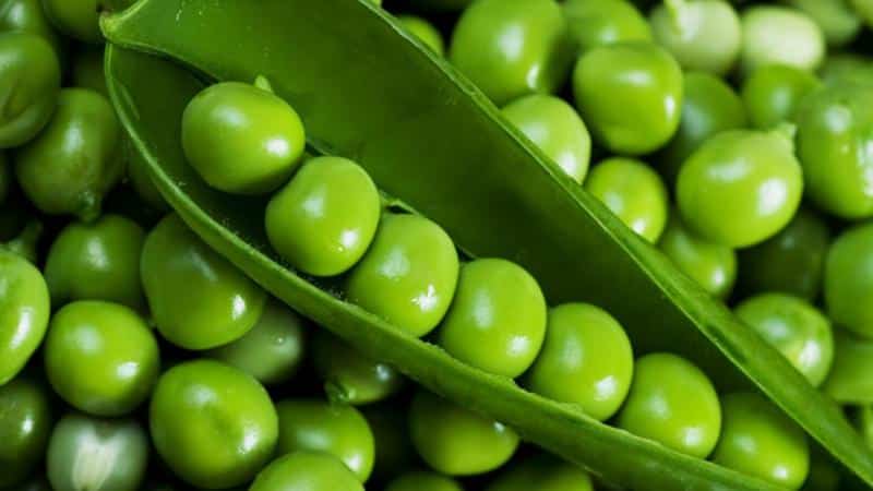 The simplest preparations: how to freeze green peas at home for the winter and what to cook from them later