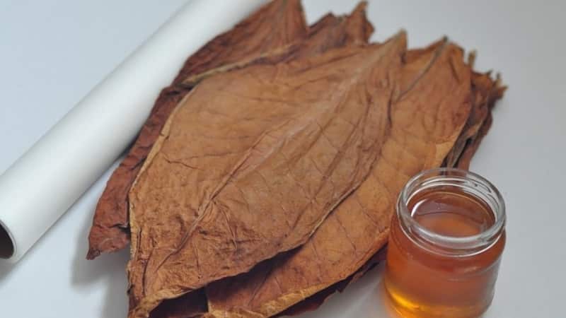 What types of tobacco exist that do not require fermentation?