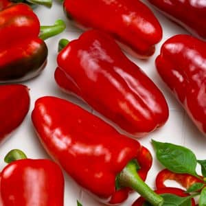 Large and sweet pepper variety Big Girl: reviews from summer residents and their growing secrets