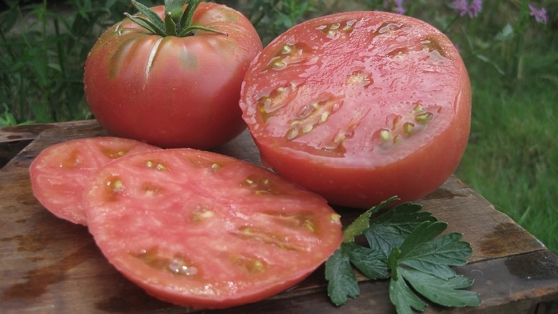 The Mikado tomato, beloved by summer residents, with a rich palette of subspecies and strong immunity - we grow it ourselves without hassle