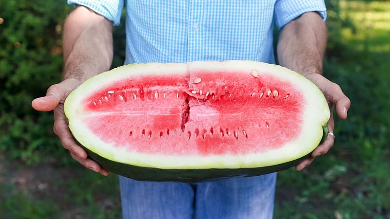Is it possible to eat watermelon with cholecystitis and pancreatitis?