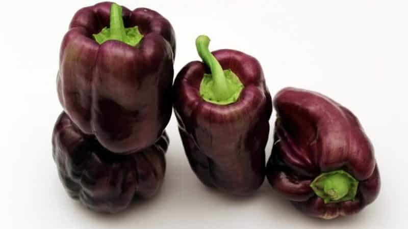 An unusual variety with purple fruits - Big Daddy pepper and the nuances of its cultivation