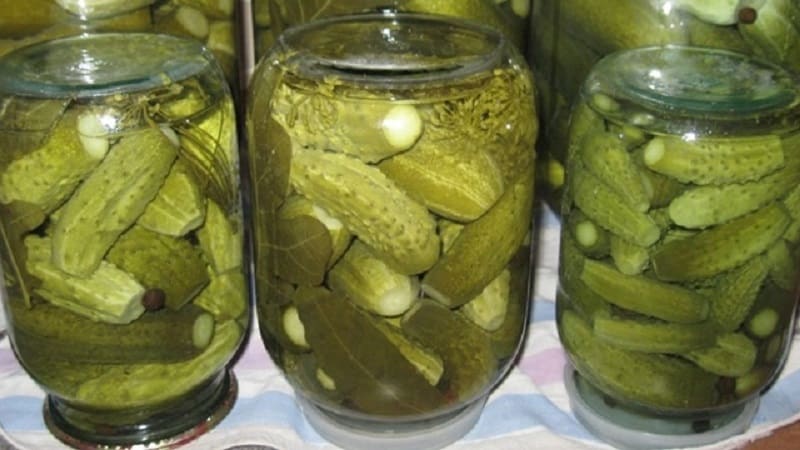 Why jars of cucumbers explode and what to do to avoid it