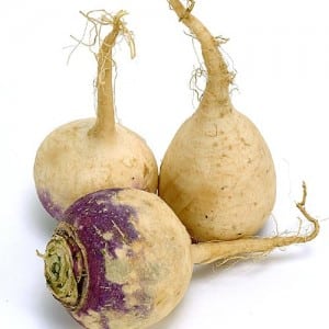 Useful properties and contraindications of rutabaga: how to use the root vegetable in cooking, cosmetology and folk medicine