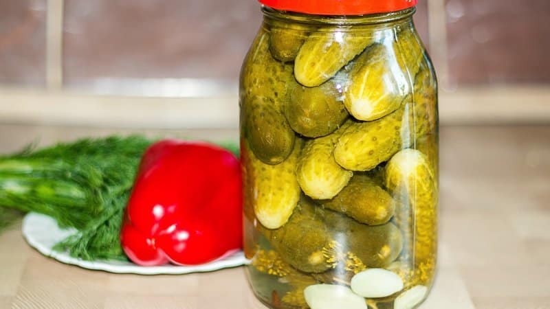 The benefits and harms of pickled cucumbers for the body
