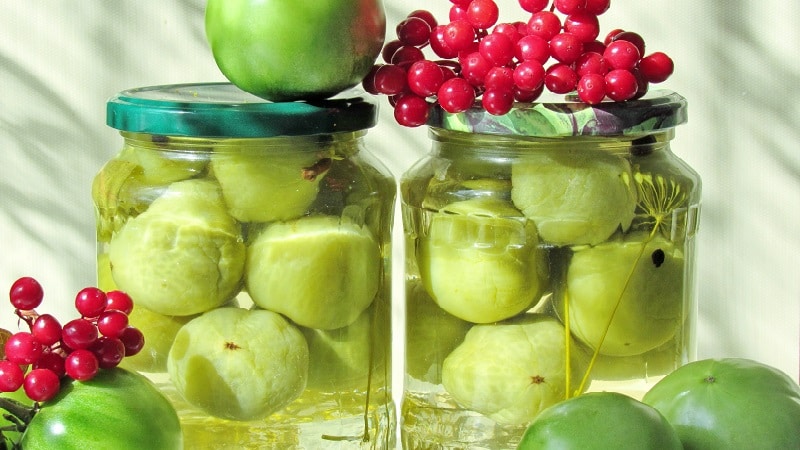 Simple and tasty recipes for pickled green tomatoes: how to properly prepare them and pack them for the winter