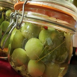 Simple and tasty recipes for pickled green tomatoes: how to properly prepare them and pack them for the winter