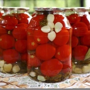 Recipes for lightly salted instant tomatoes: top tastiest methods, tips and tricks