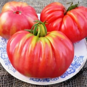 How to grow and where to use the Rosamarin pound tomato