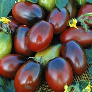 A bright and tasty decoration for your summer cottage - pink Monisto tomato