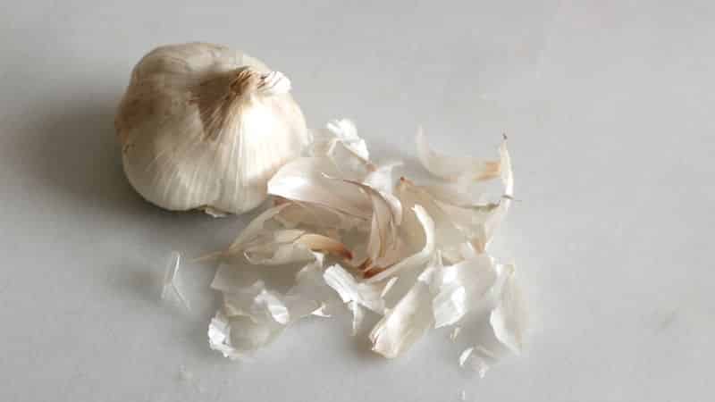 Universal free remedy - garlic peel: beneficial properties and methods of its use in different areas