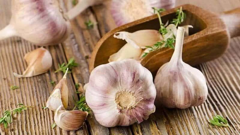 Universal free remedy - garlic peel: beneficial properties and methods of its use in different areas