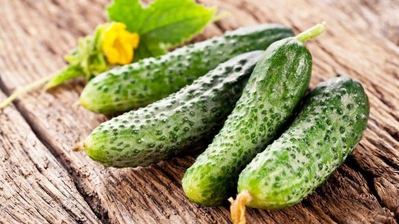 How to store fresh cucumbers so that they do not spoil for as long as possible