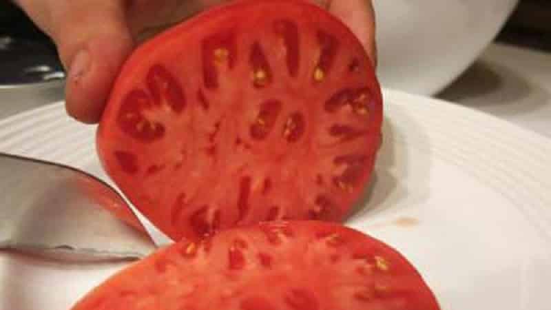 Gardeners' favorite tomatoes: Hospitable tomatoes: we will grow a rich harvest, despite the weather conditions