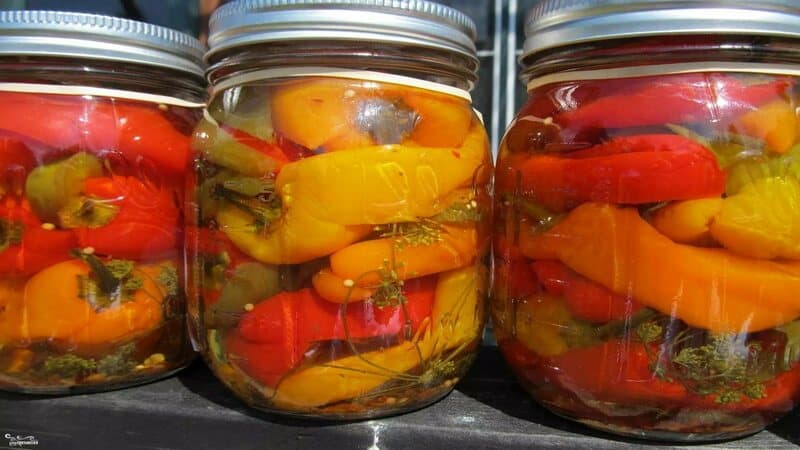The most delicious and simple recipes for pickled peppers for the winter without sterilizing the jars