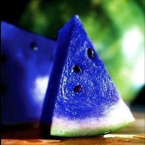 Do blue watermelons exist or is it an internet myth?