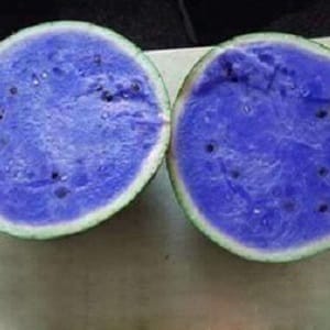 Do blue watermelons exist or is it an internet myth?
